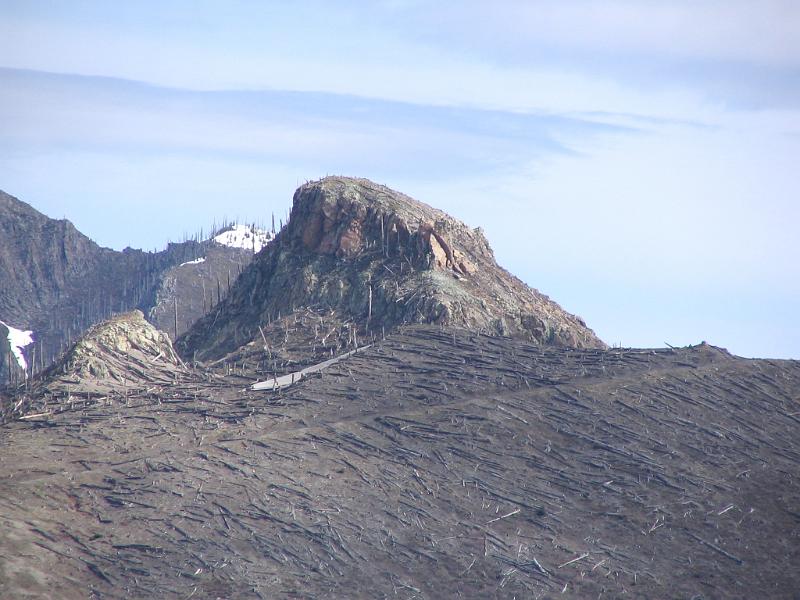 Mount St.Helens (14).JPG